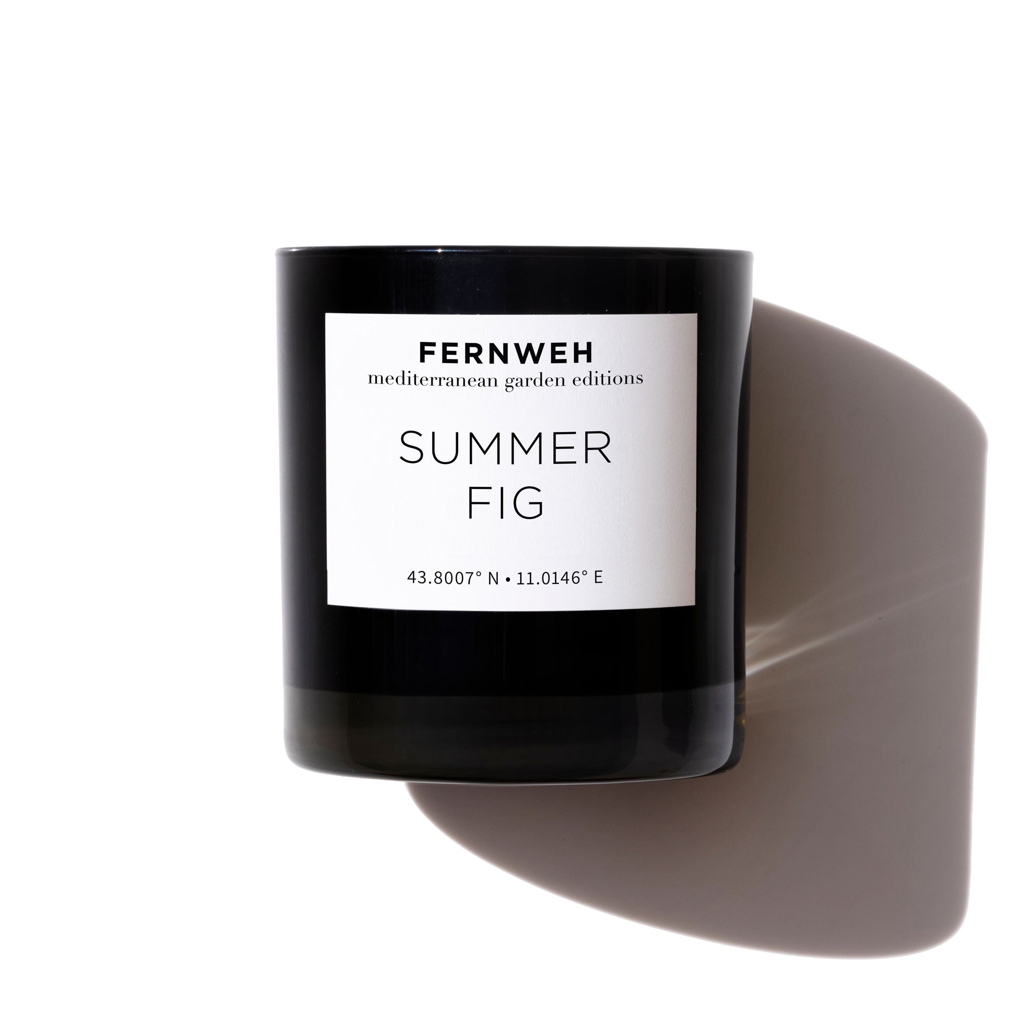 Summer Fig Scented Soy Candle